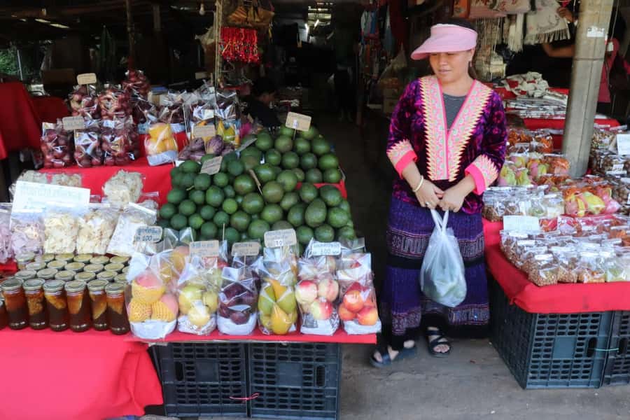 Private Tour Doi Inthanon, Trekking Kew Mae Pan Nature Trail - Wachiratharn Waterfall: when you want the day to slow down