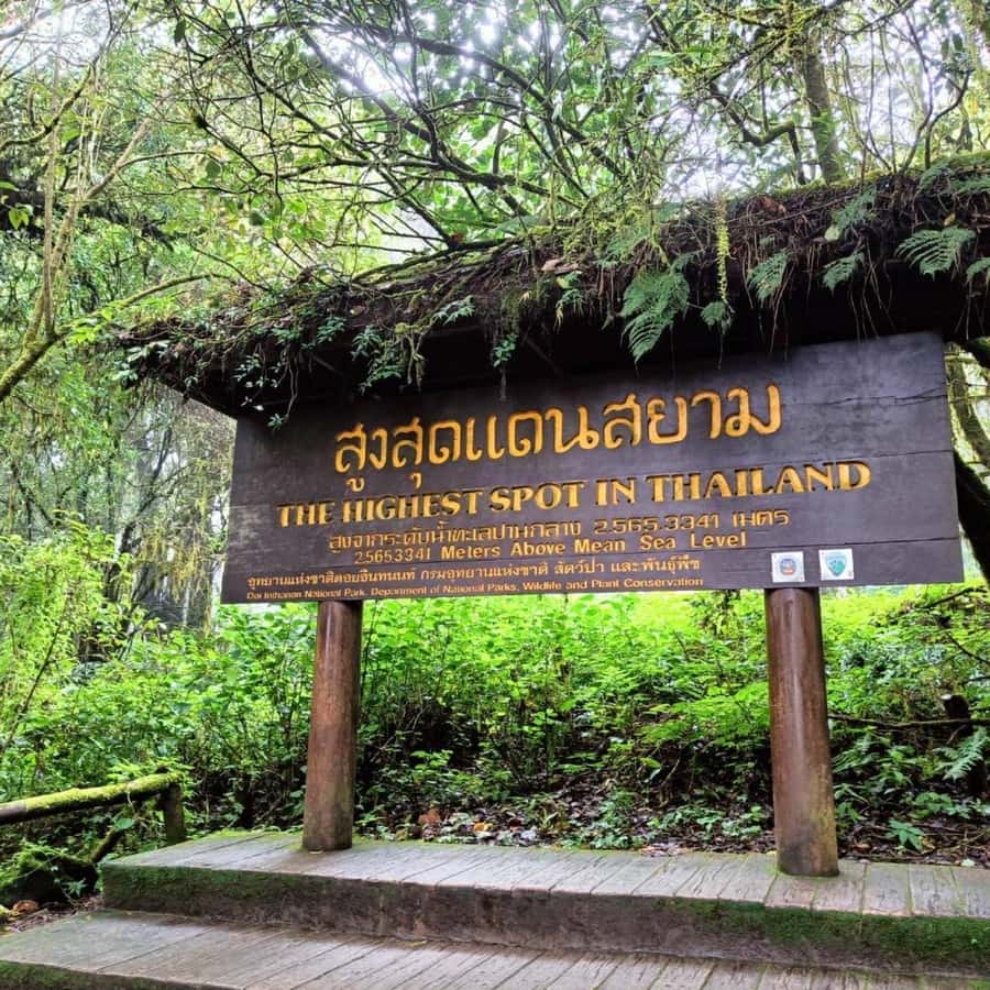 Private Tour Doi Inthanon, Trekking Kew Mae Pan Nature Trail - Getting from Chiang Mai and making sense of the 9 hours