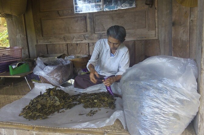 Private Tour in Chiang Mai Village Experience Nature - Price and Value: Is $153 a Fair Deal?