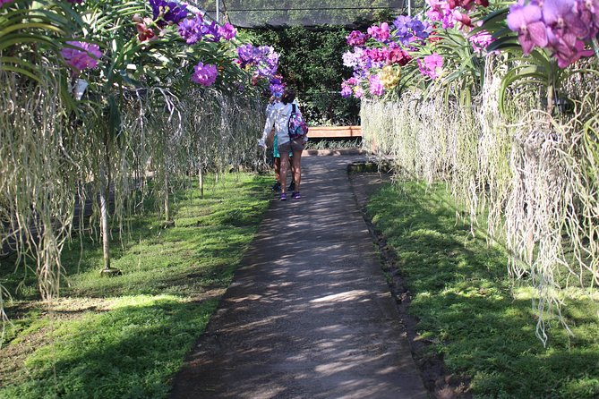 Private tour] Perfect day! Sticky waterfall + ChiangDao Cave + Wat BandenTemple - What’s included, what isn’t, and why it matters