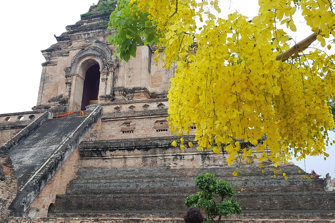 Private Tour: Thai Culture& Experience with Buddhism - Price and value in Chiang Mai: what you pay for, and what you get