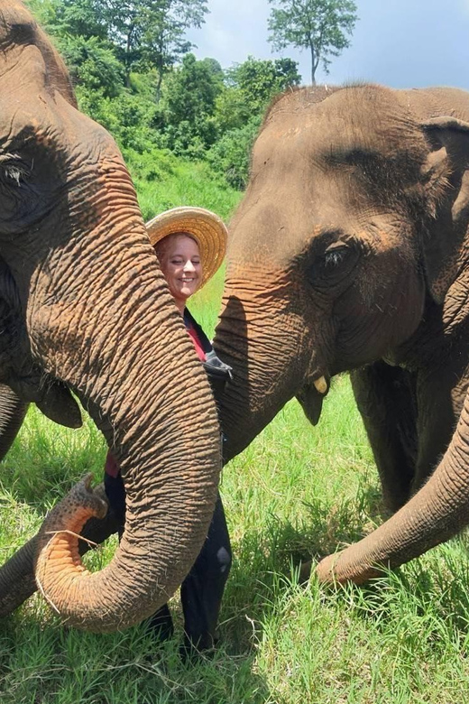 Rantong elephant sanctuary Chiangmai - Where Rantong Elephant Sanctuary Fits in Chiang Mai