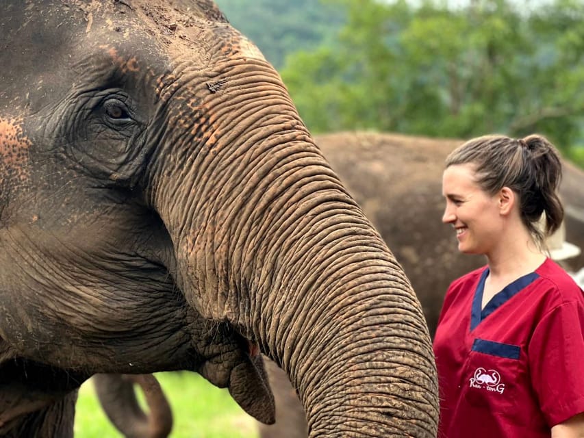 Rantong elephant sanctuary Chiangmai - Bathing Time: Fun, Wet, and Very Hands-On