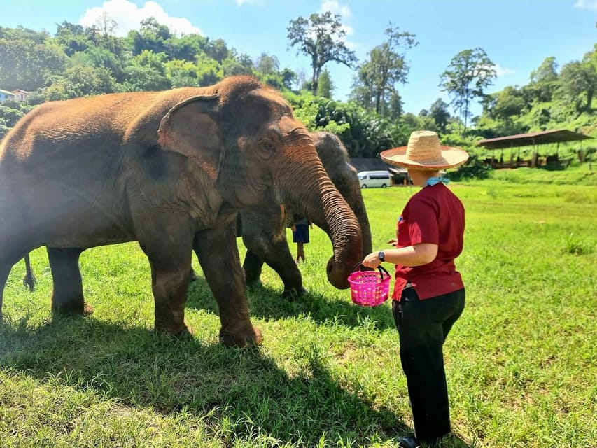 Rantong elephant sanctuary Chiangmai - The 4-Hour Itinerary: How the Day Is Structured