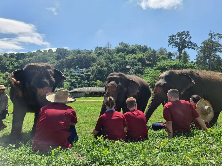 Rantong elephant sanctuary Chiangmai - Price and Value: What $57 Buys You in Real Life