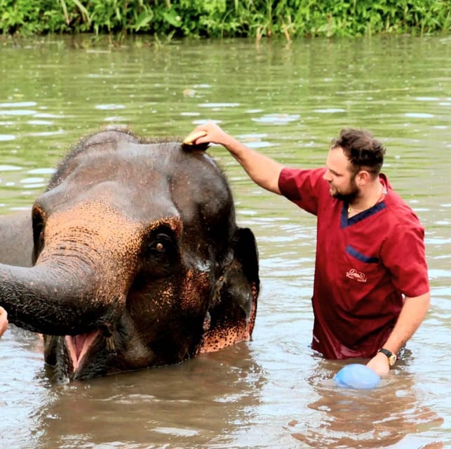Rantong elephant sanctuary Chiangmai - Entering The Rescue Camp Model: Love, Understanding, and Real Interactions