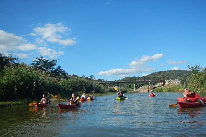 River Kayaking in Chiang Dao Jungle From Chiang Mai - Wildlife Spotting on the Water, Not Just in Your Imagination