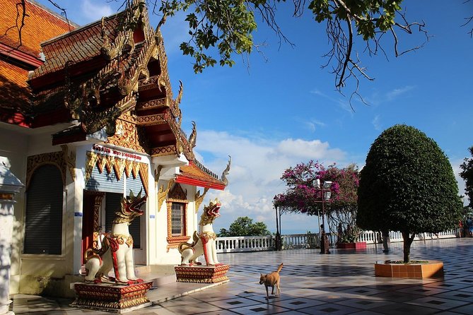Royal Residence & Wat Phrathat Doi Suthep Half Day Tour From Chiang Mai - Group size, timing, and how to plan your day around it