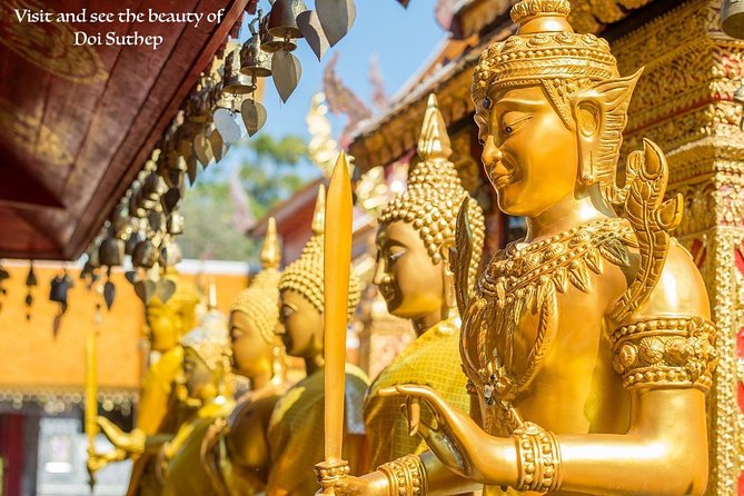 Royal Residence & Wat Phrathat Doi Suthep Half Day Tour From Chiang Mai - Who should book this tour (and who might skip it)