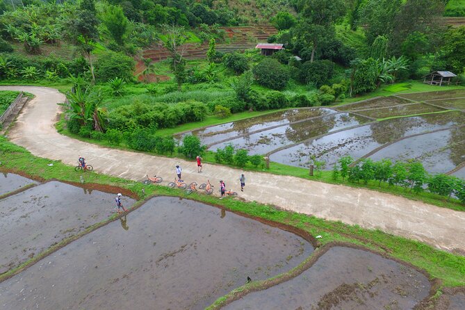 Rural Explorer Mountain Biking Tour Chiang Mai - Lunch, snacks, and drinks: better energy, better riding