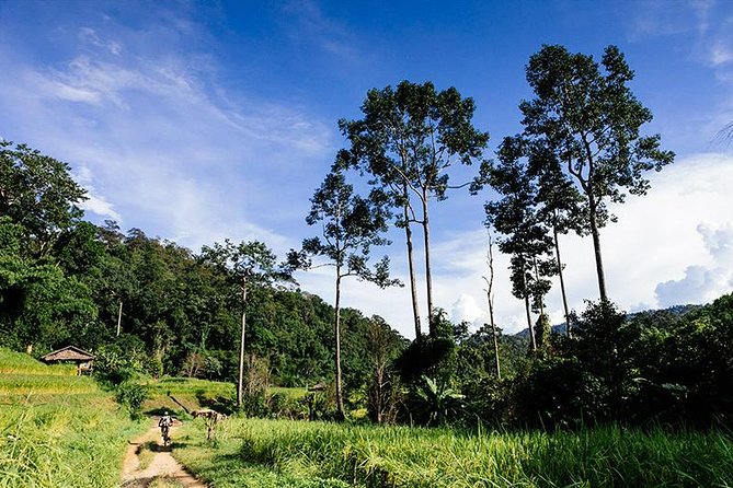 Rural Explorer Mountain Biking Tour Chiang Mai - Pickup at 8:30 am, then you’re rolling toward rural Chiang Mai