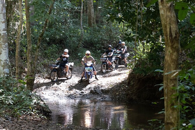Scooter Adventure with elephants, views and FUN drive yourself - Scooter riding in Chiang Mai: from city lanes to off-road fun