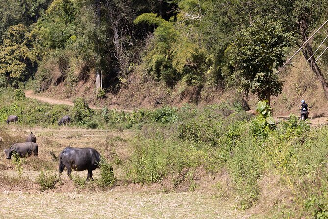 Scooter Adventure with elephants, views and FUN drive yourself - Lunch, water, and how to pace yourself during an 8-hour day
