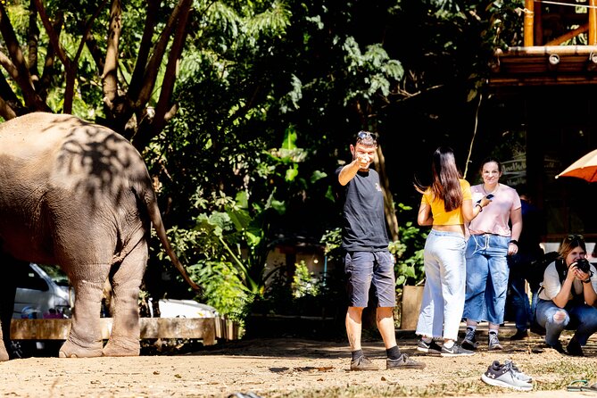 Scooter Adventure with elephants, views and FUN drive yourself - Elephant Fun Farm Chiangmai Thailand: up close time with clear expectations