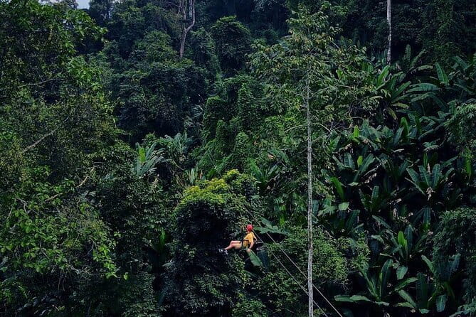 Sky Hawk Zipline Chiang Mai – Ultimate Canopy Adventure - Fitness and Health Limits, Explained Simply