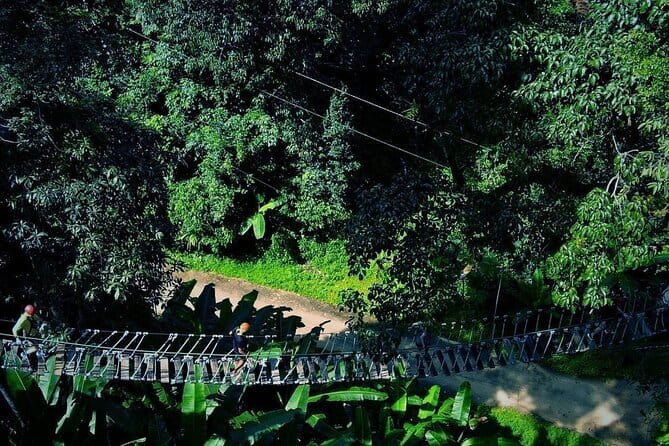Sky Hawk Zipline Chiang Mai – Ultimate Canopy Adventure - Choosing Between Three Zipline Packages (What Actually Changes)