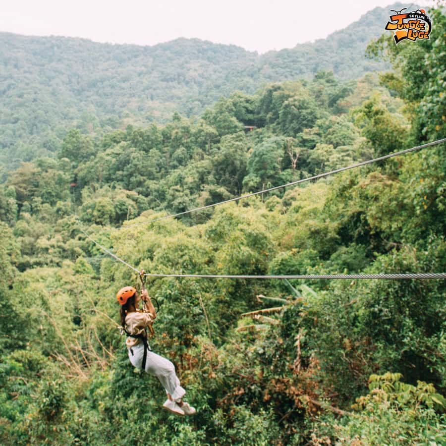 Skyline Jungle Luge Ticket + Lunch with Private Transfer - Key Highlights You’ll Care About