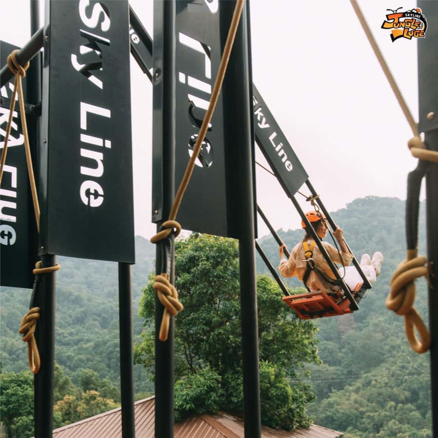 Skyline Jungle Luge Ticket + Lunch with Private Transfer - The Zipline Full Board: 21 Ziplines, 38 Platforms, and Big-Route Variety