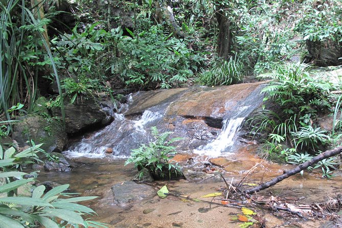 Small Group : Trekking Trip in Chiang Mai (Doi Suthep Area) with Market Tour - Doi Suthep Temple stop, then straight into the forest mindset