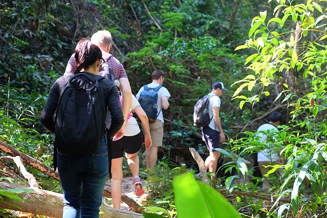 Small Group : Trekking Trip in Chiang Mai (Doi Suthep Area) with Market Tour - Trekking through Doi Suthep-Pui National Park forest, with a ranger’s perspective