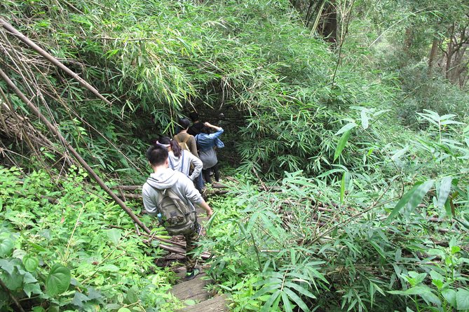 Small Group : Trekking Trip in Chiang Mai (Doi Suthep Area) with Market Tour - Pickup, minivan comfort, and why the price feels fair