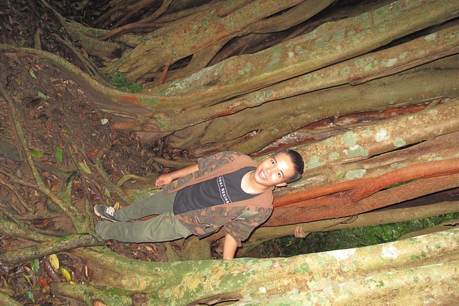Small Group : Trekking Trip in Chiang Mai (Doi Suthep Area) with Market Tour - Weather, safety, and the realistic limits of a forest day