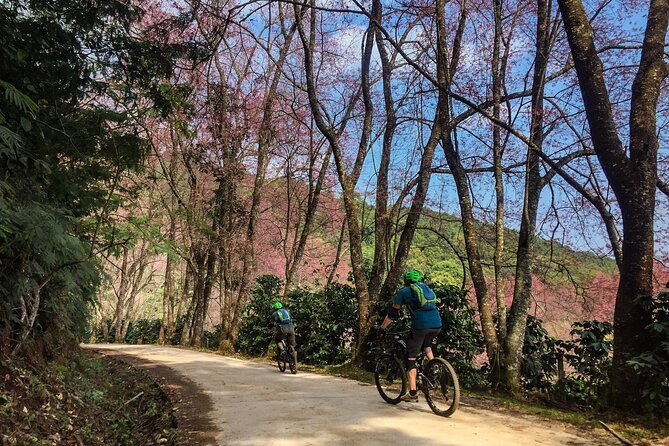 Smoke on the Water Trail Mountain Biking Tour Chiang Mai - The 8:30 start: Trailhead coffee and getting ready