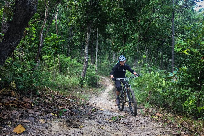 Smoke on the Water Trail Mountain Biking Tour Chiang Mai - Jungle trails: single-track and double-track riding reality