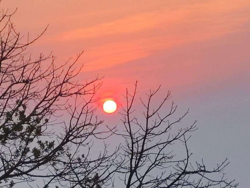 Spiritual Sunrise Wat Doi Suthep, Pha Lat, Alms & Meditation - Key highlights to know before you go
