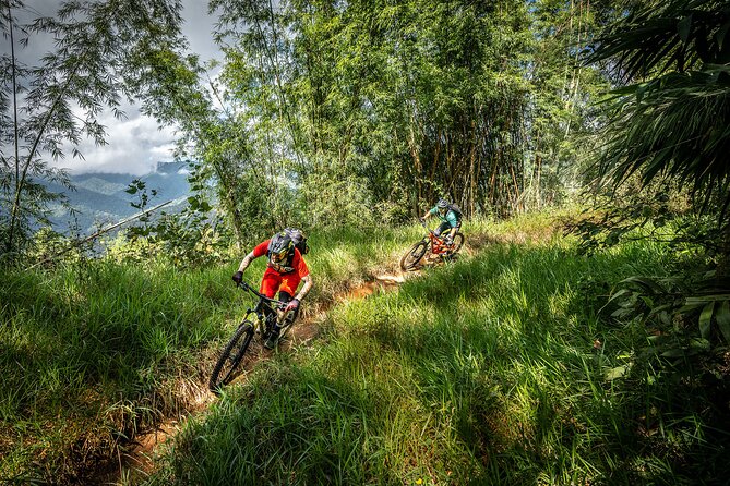 Stairway to Heaven Trail Mountain Biking Tour Chiang Mai - Coffee, bike checks, then the climb begins