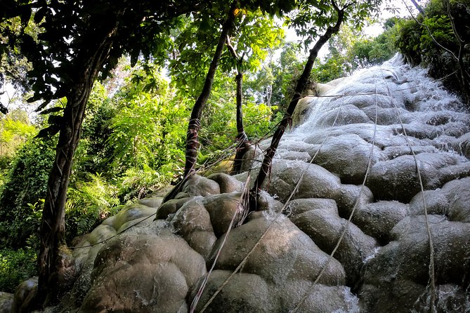 Sticky Waterfall Cycling Tour - Key Points That Make This Tour Worth Your Time
