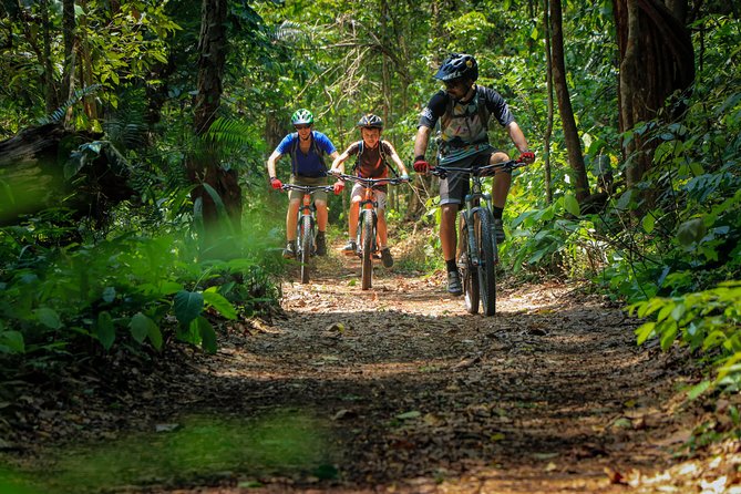 Sticky Waterfall Cycling Tour - Pickup, Air-Conditioned Vehicle, and How the Timing Works