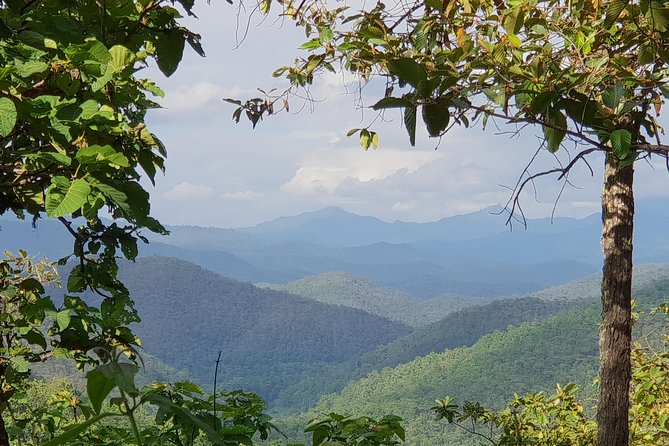 Sticky Waterfall Cycling Tour - Price and Value: Is $81.46 a Smart Spend?