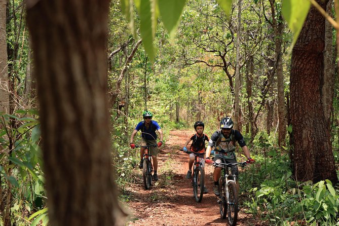 Sticky Waterfall Cycling Tour - Who This Tour Suits Best (And Who Might Skip It)