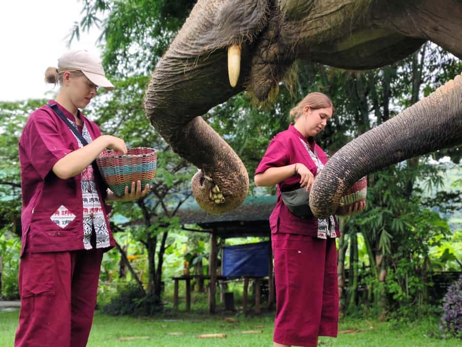 Sticky waterfalls- Elephants- Bamboo or White water rafting. - Quick hits: sticky waterfall climb, rafting, and ethical elephant time