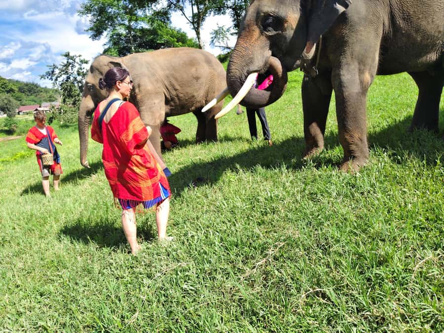 Sticky waterfalls- Elephants- Bamboo or White water rafting. - A full day in Chiang Mai that actually fits together