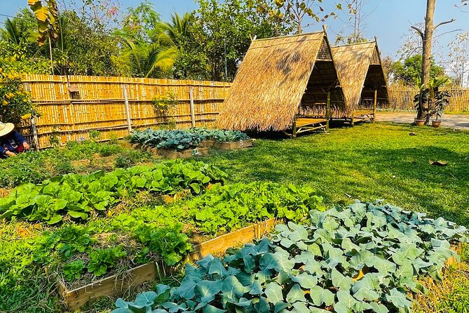 Team Aim Thai Cooking School (#1 Cooking Class in Chiang Mai) - Price and value for $34.01, what you are really paying for