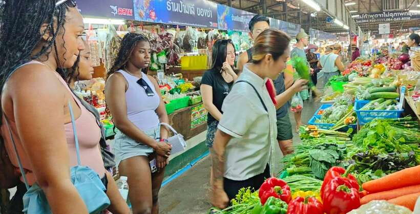 Thai Cooking in ChiangMai Thailand with Cookventure - Cookventure’s studio: a small-group setup where you actually cook
