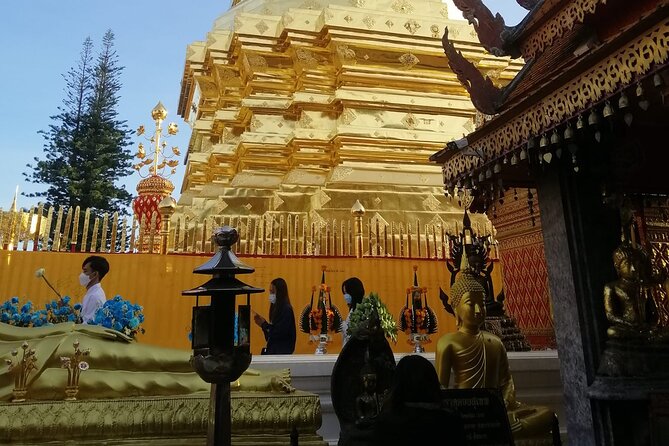 The Best Full Day Tour: Doi Suthep, Wat Phalat, Sticky Waterfall - Price and Value Check: What $48.67 Buys You in a Full-Day Temple and Waterfall Combo