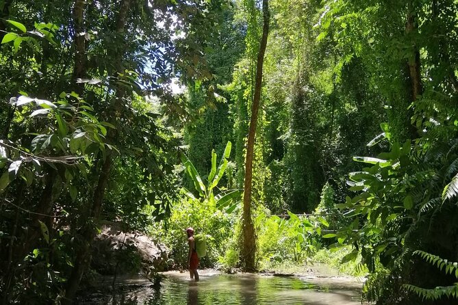 The Best Full Day Tour: Doi Suthep, Wat Phalat, Sticky Waterfall - Who Should Book This Tour, and Who Might Skip It