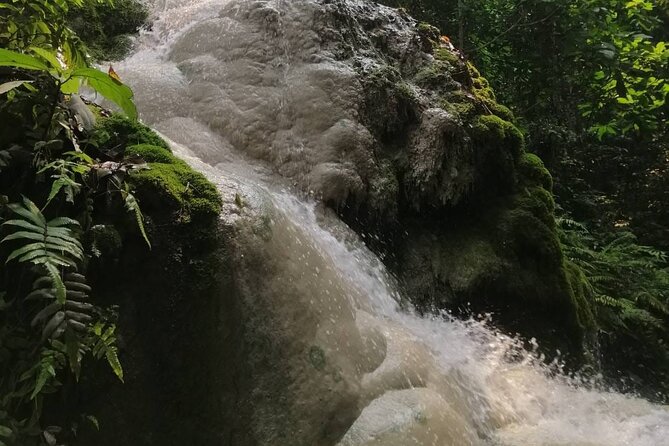 The Best Full Day Tour: Doi Suthep, Wat Phalat, Sticky Waterfall - FAQ