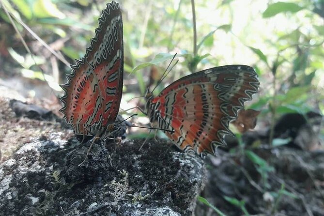 The Best One Day Trip Of Doi Inthanon National Park - Royal Agricultural Station Inthanon: Calm Nature and a Different Pace