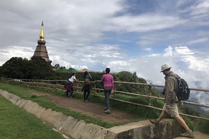 The Best One Day Trip Of Doi Inthanon National Park - Guides Who Actually Explain What You’re Seeing