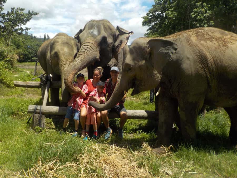 The Must-Do: Authentic Elephant & Village Life in Chiang Mai - Getting to the day: pickup, timing, and how far you travel