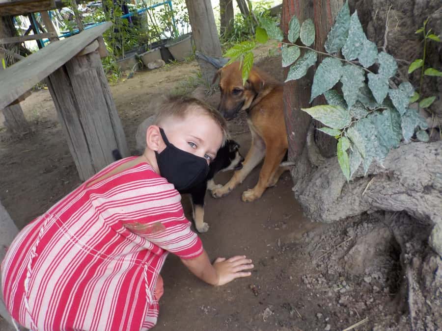 The Must-Do: Authentic Elephant & Village Life in Chiang Mai - River bathing with elephants: the moment people remember
