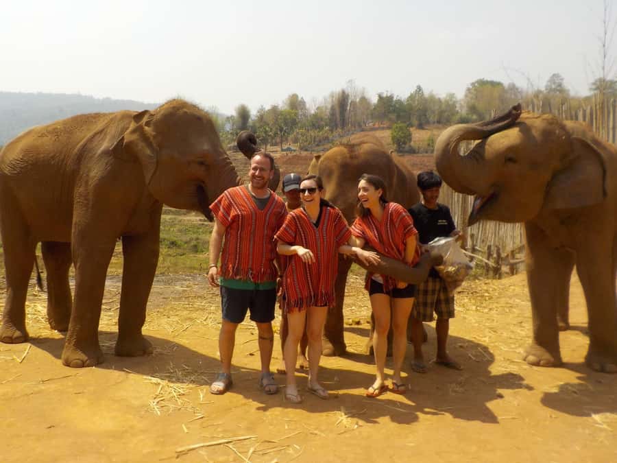 The Must-Do: Authentic Elephant & Village Life in Chiang Mai - Mae Wang waterfall walk: light trekking with a payoff