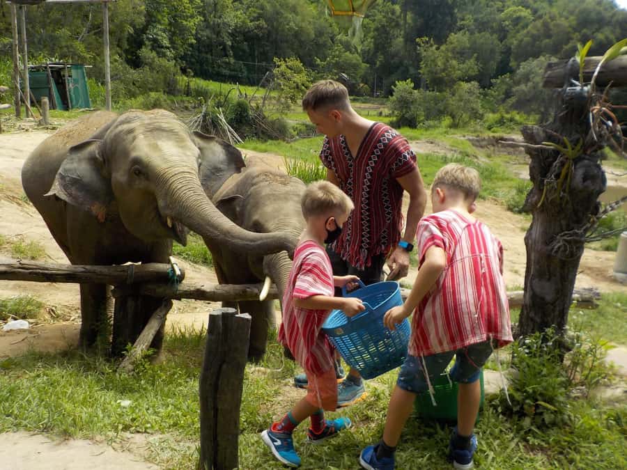 The Must-Do: Authentic Elephant & Village Life in Chiang Mai - Johnnyboy Elephant Care: what hands-on time really means