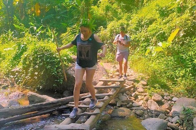 Top Pick - Full or Half Day @Elephant in Wild Sanctuary ChiangMai - Key Points Before You Go (Elephants, Hikes, Rafting, and Timing)