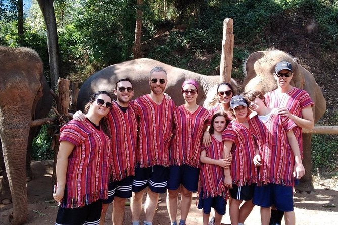 Top Pick - Full or Half Day @Elephant in Wild Sanctuary ChiangMai - How This Elephant Sanctuary Day Really Feels in Mae Taeng