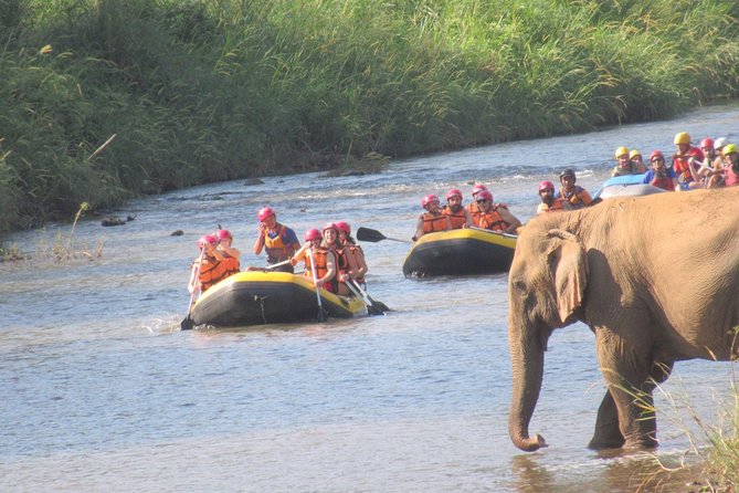 Top Pick - Full or Half Day @Elephant in Wild Sanctuary ChiangMai - White-Water Rafting for Full-Day Travelers